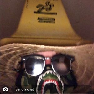 Meet your Posher, Max